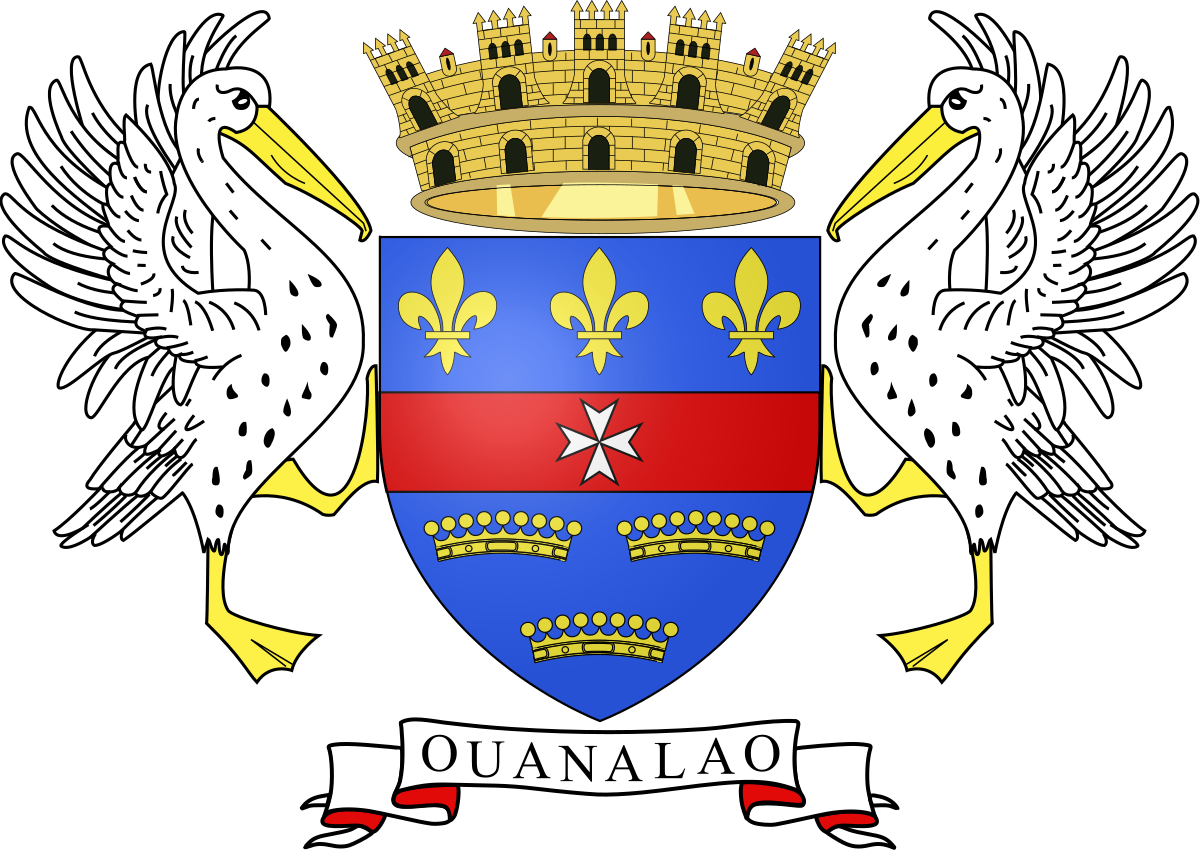 Flag_of_Saint_Barthelemy.svg